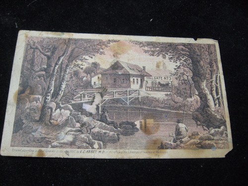 1800 abbey librarian of - 1800's,